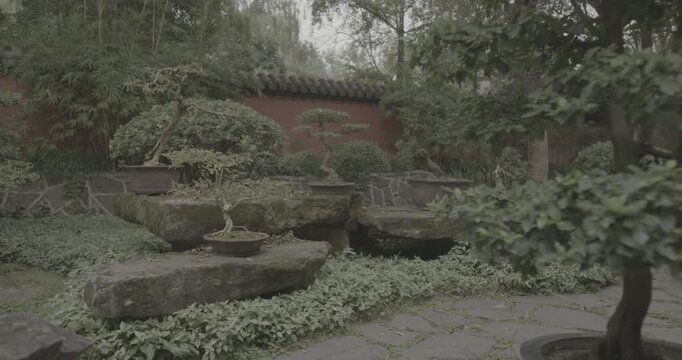 Chengdu, Sichuan, China. Ungraded C LOG 2, Garden Area Of Wuhou Memorial Temple. Ornamental Bonsai Tree. Comfortable Environment To Embrace Nature. Penjing Also Known As Penzai. Ancient Chinese Art Of