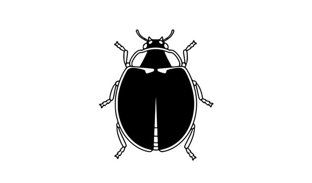 A minimalist black and white illustration of a beetle from above
