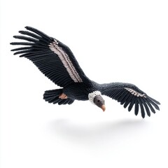 Obraz premium Andean Condor Bird in Mid Flight With Wings Spread Wide Against White Background