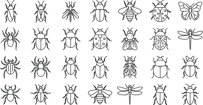 Insect icon set featuring beetles spiders bees flies dragonflies and various bugs in minimal outline style vector collection