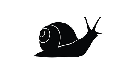 A striking black snail form depicted in a minimalist contrasting silhouette © MIRAJ02