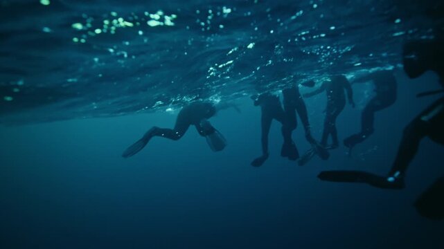 Several divers swimming underwater beneath Arctic ocean surface with fins and bubbles