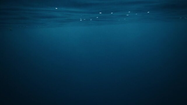 Still Arctic Ocean underwater water column fading into deep blue marine depths