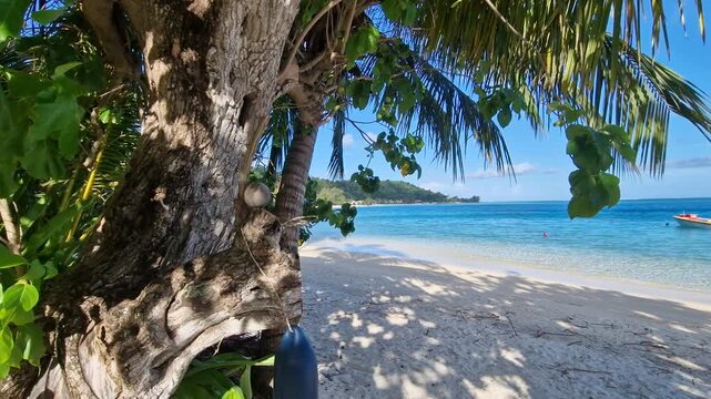 Bora Bora Island, French Polynesia. Empty Beach With White Sand and Green Coastal Landscape