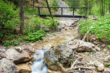Pieniny. Wąwóz Homole.