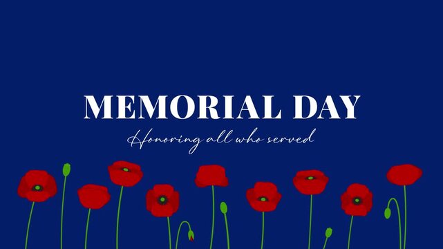 Memorial Day greeting animation with red poppies and stars on navy blue background.
