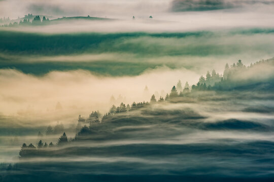 Ethereal fog waves over mountain forest ridges. Unusual layers of drifting fog veil rolling mountain forests, soft golden light and atmospheric depth creating a rare, dreamy natural landscape.