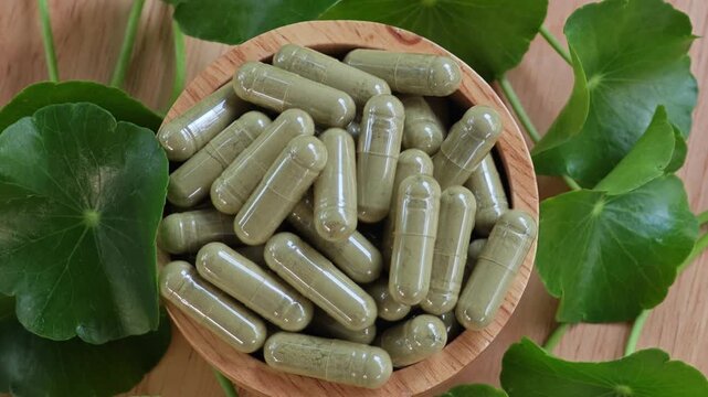 Centella asiatica capsule. Herbal supplements.