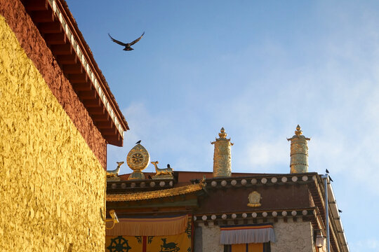 Dharma Wheel And Deer Statue On Tibetan Monastery Rooftop &mdash; Songzanlin Buddhist Symbol Detail Yunnan