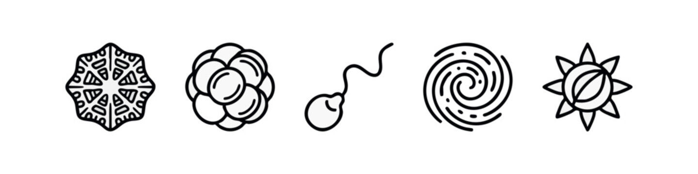 Hand Drawn Minimalist Science and Nature Icons Set Cells Sperm Galaxy Sun