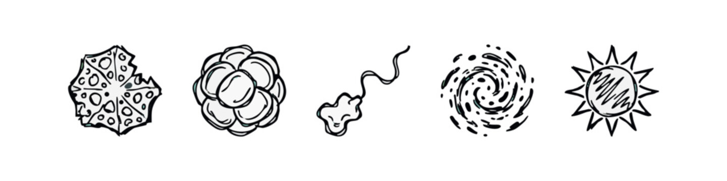 Hand Drawn Science and Astronomy Icons Set Microbe Cells Sperm Galaxy Sun