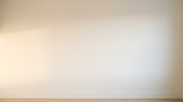 A plain white wall with a wooden floor