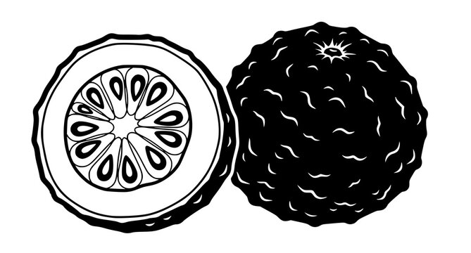 Black sapote illustration a whole fruit and cross section displayed in a minimalist black and white style