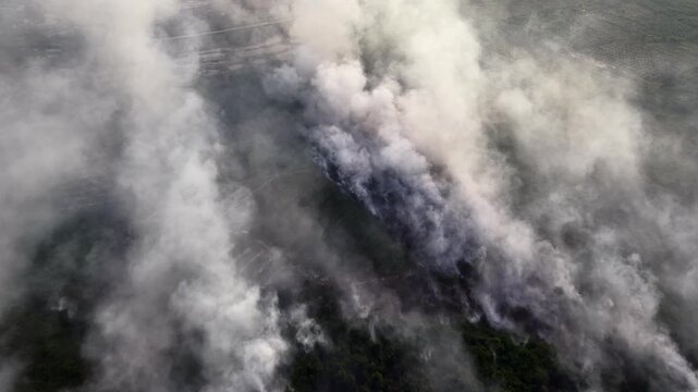 Thick smoke rises over burning forest terrain