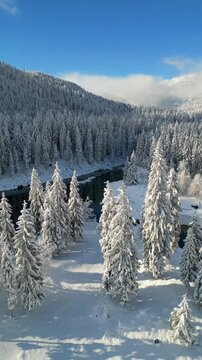 Snow covered Lake Cauma Caumasee in Flims, Switzerland aerial drone vertical video reel