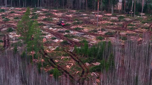 Logging operation clearcutting a forest, showing forest destruction and wood harvesting