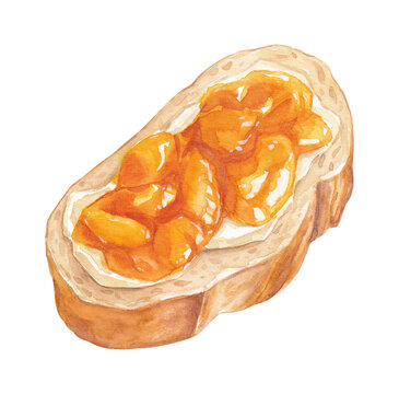 Watercolor Slice of Bread with Butter and Apricot Jam, Cottagecore Food Illustration
