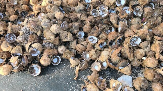 A large pile of discarded coconut shells sits at a collection point. These remains are gathered after milk extraction. They are ready for transport to a factory for recycling.