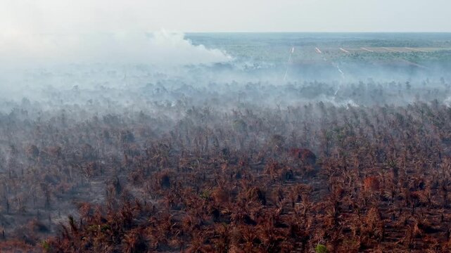 Smoke drifts low over scorched earth