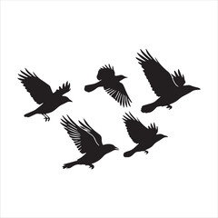 Fototapeta premium Large flock of flying birds silhouette isolated on white background