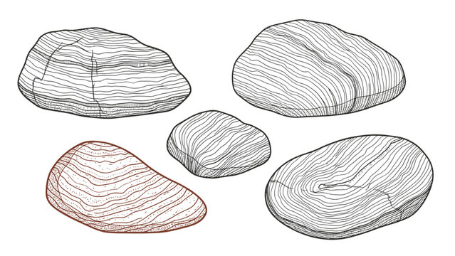 Set of five various smooth river stones or pebbles with detailed textures and one highlighted in a reddish brown color.