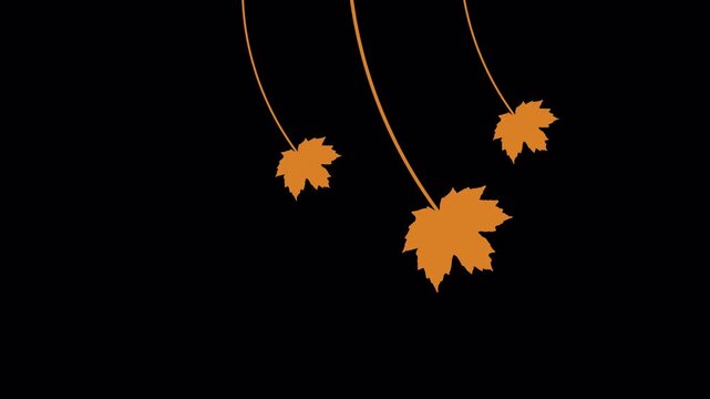 Autumn maple leaves falling animation, orange leaf motion graphics on black background, seasonal nature transition video for fall projects