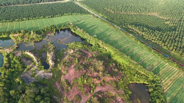 Aerial view of plantation and ponds at Kubang Semang.