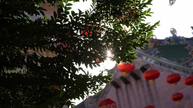 Backlit tree leaves frame red Chinese lanterns and temple roof with sunstar.