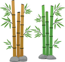Fototapeta premium Bamboo plant set with green and dry stalks, natural oriental foliage elements for garden design and eco nature illustration