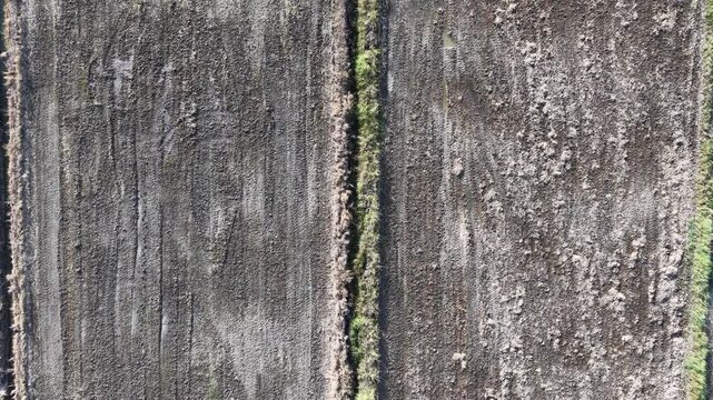Aerial Drone View of Tanjung Piandang Paddy Fields Malaysia
