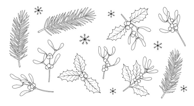 Holly and pine leaf doodle wreath elements with sprigs berries and snowflakes hand sketch line art for winter cards