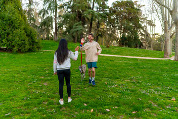 Fototapeta premium People high fiving with dog running in park