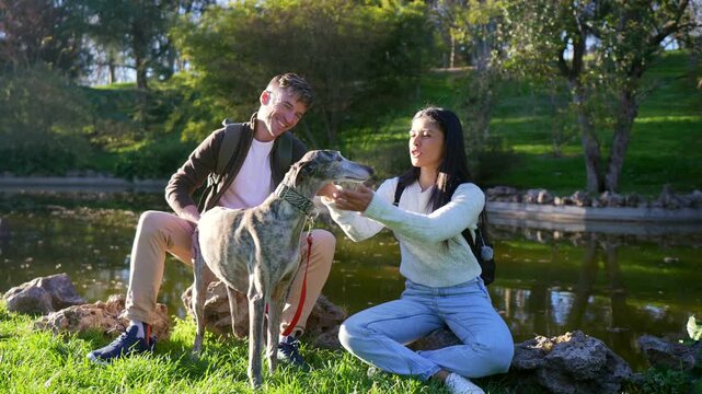 Happy young caucasian couple sitting on the grass, smiling and affectionately petting their beautiful greyhound dog while relaxing by a tranquil pond in a sunny park on a lovely day