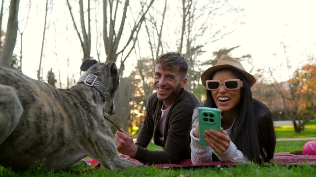 Joyful young couple lying on the grass and laughing while playing with their brindle greyhound dog, woman recording a video with her smartphone during a sunny afternoon in the park