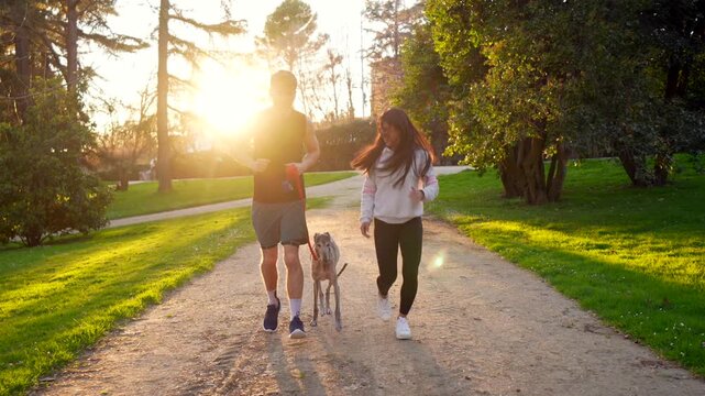 Beautiful young couple enjoying a healthy lifestyle while jogging with their greyhound dog on a path in a green park, with the warm, golden light of the setting sun creating a serene atmosphere
