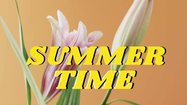 On play bold SUMMER TIME remaining fixed while pink lily bud opening, revealing petals for design