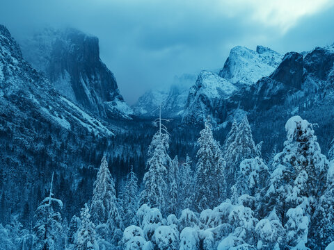Valley in a Storm #7