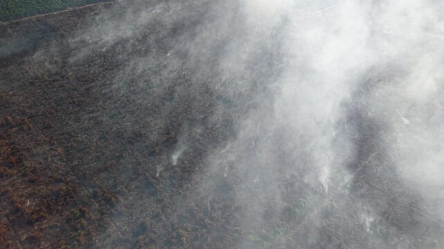 High-angle aerial scene of fire spreading through peat soil