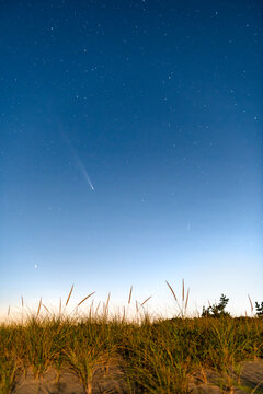 Comet Tsuchinshan-ATLAS C3 over beach dunes in October 2024