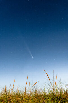 Comet Tsuchinshan-ATLAS C3 over beach dunes in October 2024
