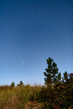 Comet Tsuchinshan-ATLAS C3 over beach dunes in October 2024