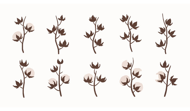Cotton branch flat vector set with natural plant bolls and leaves collection isolated on white background