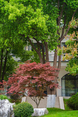 Fototapeta premium Spring Scenery of East Lake Scenic Area, Wuhan, Hubei, China