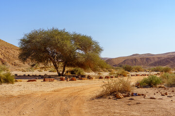 Desert landscape, inside Makhtesh (crater) Ramon © RnDmS
