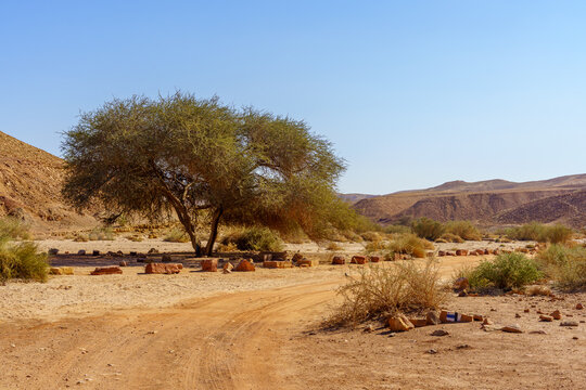 Desert landscape, inside Makhtesh (crater) Ramon