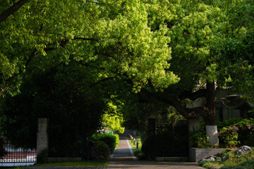 Obraz premium Spring Scenery of East Lake Scenic Area, Wuhan, Hubei, China