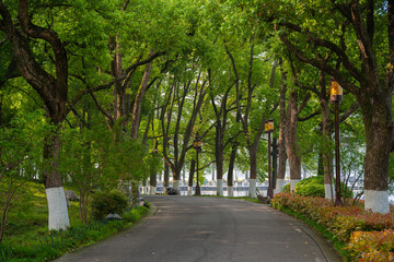 Obraz premium Spring Scenery of East Lake Scenic Area, Wuhan, Hubei, China