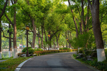 Obraz premium Spring Scenery of East Lake Scenic Area, Wuhan, Hubei, China