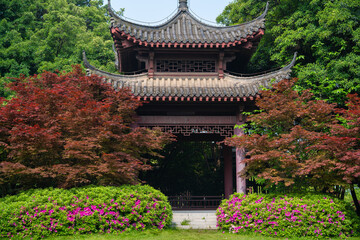 Obraz premium Spring Scenery of East Lake Scenic Area, Wuhan, Hubei, China