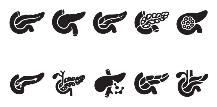 A collection of black and white silhouette icons representing different anatomical views and conditions of the human pancreas, suitable for medical or educational use.